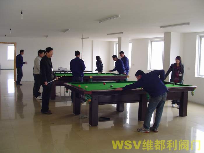 公司舉行“維都利杯”迎奧運(yùn)臺(tái)球賽