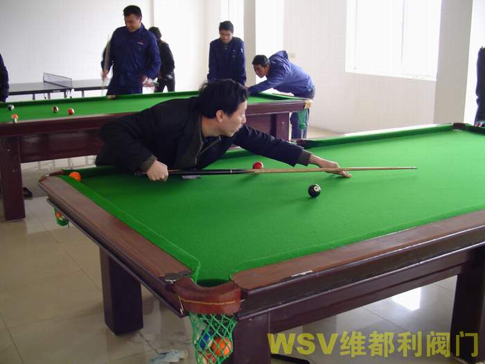 公司舉行“維都利杯”迎奧運(yùn)臺(tái)球賽