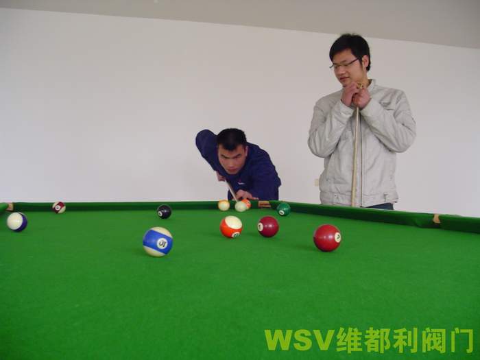 公司舉行“維都利杯”迎奧運(yùn)臺(tái)球賽