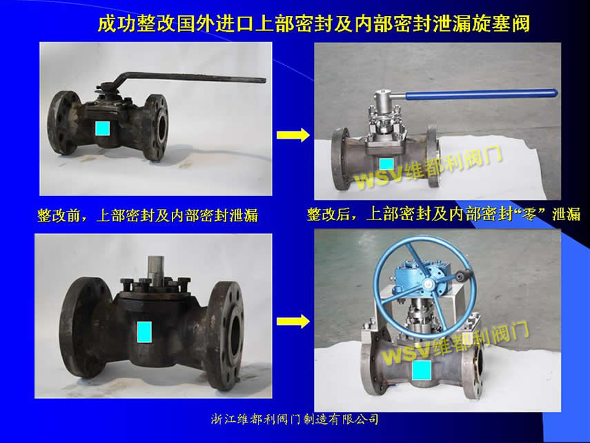成功整改國外進口上部密封及內(nèi)部密封泄漏旋塞閥